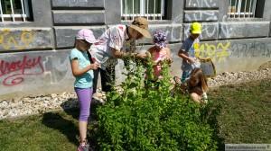 10 popis zivali os sostro 300x168